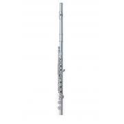Flauta Do Pearl F525r-1r Pa Serie Quantz  Linea Bisel Plata Cabeza Forza