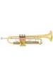 TROMPETA SIB BACH TR500 PISTONES DE MONEL LACADA