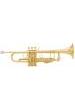 TROMPETA SIB BACH LT180 43ML GOLDMESSING
