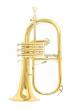 FLISCORNO RAGTIME STUDY LACADO PISTONES ACERO TUDEL YELLOW BRASS