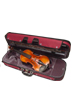 VIOLIN 4/4 EBONY BN-30 CON ESTUCHE