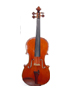 VIOLIN 4/4 SANCARLO 101
